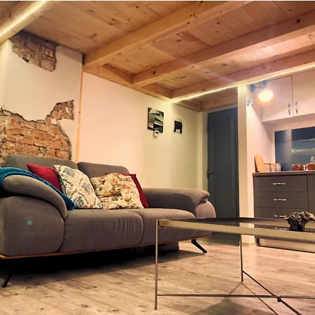 아파트 Central Cluj Apartament 클루지나포카