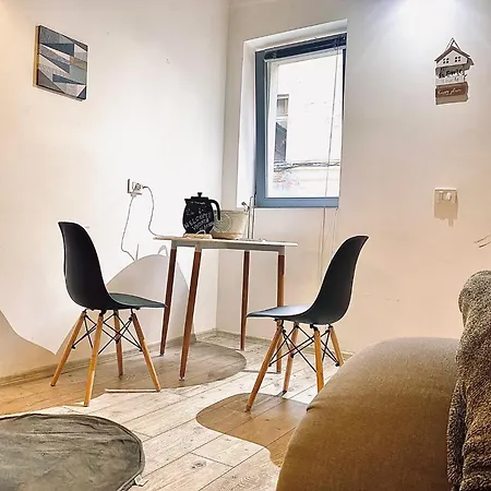 Central Cluj Apartament 클루지나포카