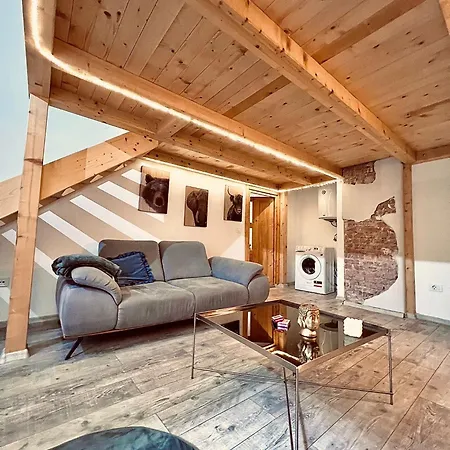 Central Cluj Apartament アパート *