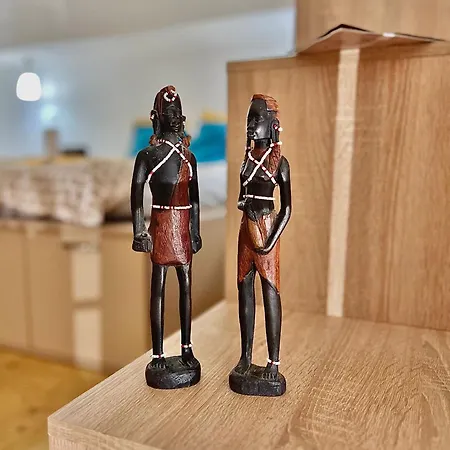 Central Cluj Apartament 아파트 클루지나포카