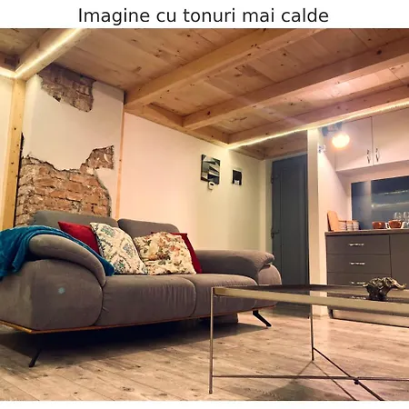 アパート Central Cluj Apartament *