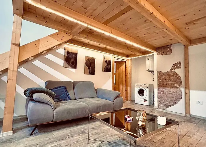 Central Cluj Apartament Apartament *