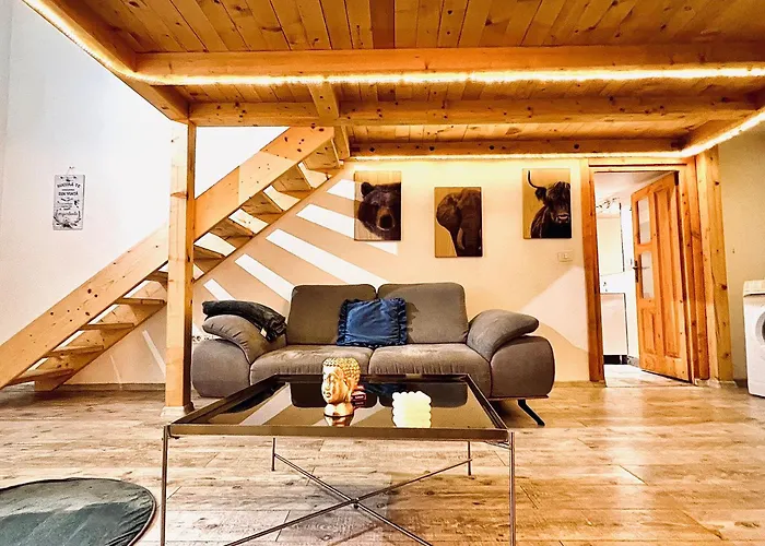 Apartment Central Cluj Apartament Cluj-Napoca